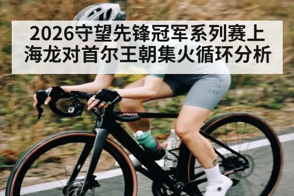 2026守望先锋冠军系列赛上海龙对首尔王朝集火循环分析