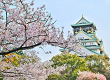 开云app安全认证-张奔斗：从《寄生虫》获奖想到澳网时的雾霾